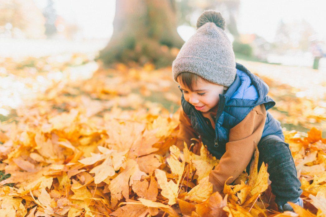Child playing in leaves