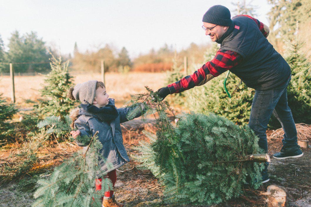 Family getting a Christmas tree.
