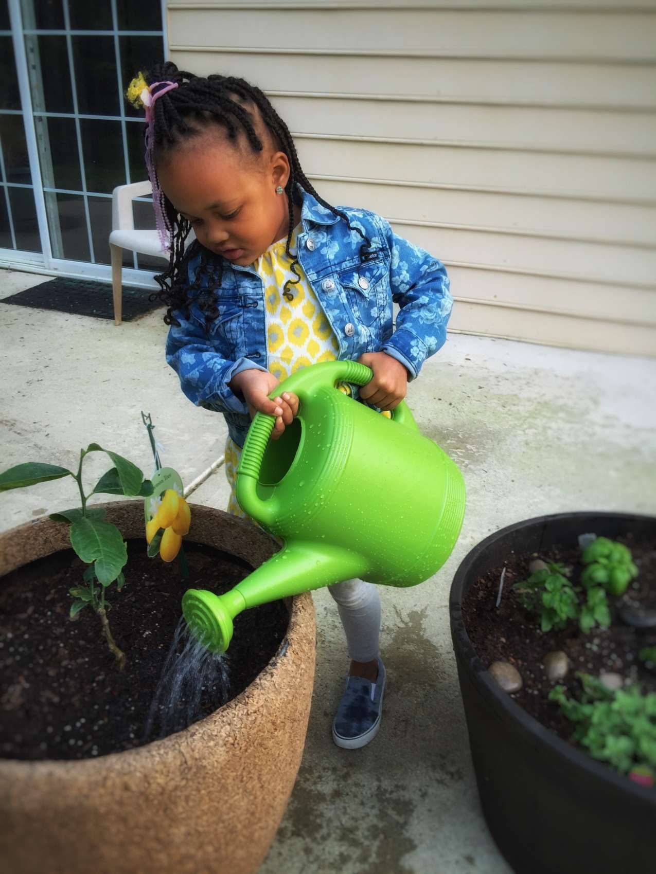 ishoot-she-helped-me-plant-some-herbs-and-a-lemon-tree_t20_bky3dE
